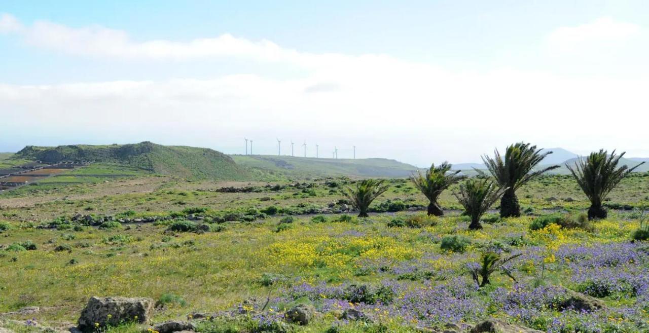 Las Nieves Suites Teguise  Luaran gambar